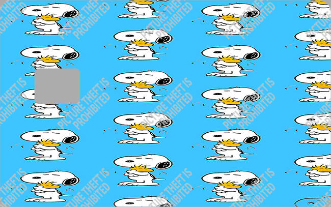 Bank  Card Sticker-BC-3976